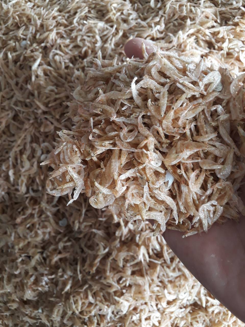 Dried Baby Shrimp