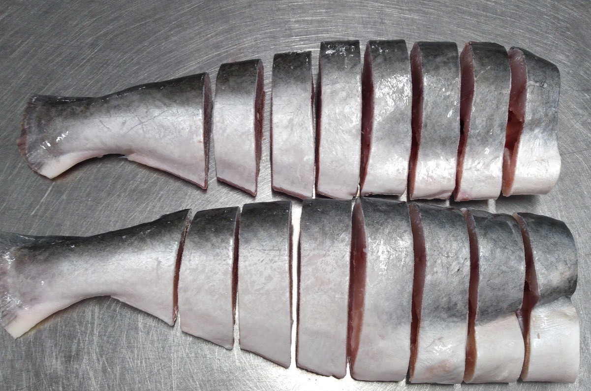 Pangasius