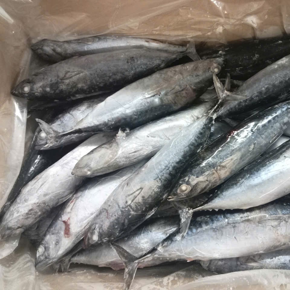 Seafish