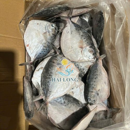 Moonfish