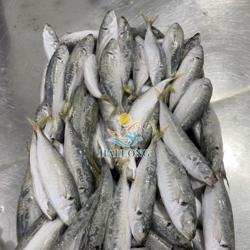 Round scad